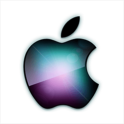 AAPL - Apple Inc.